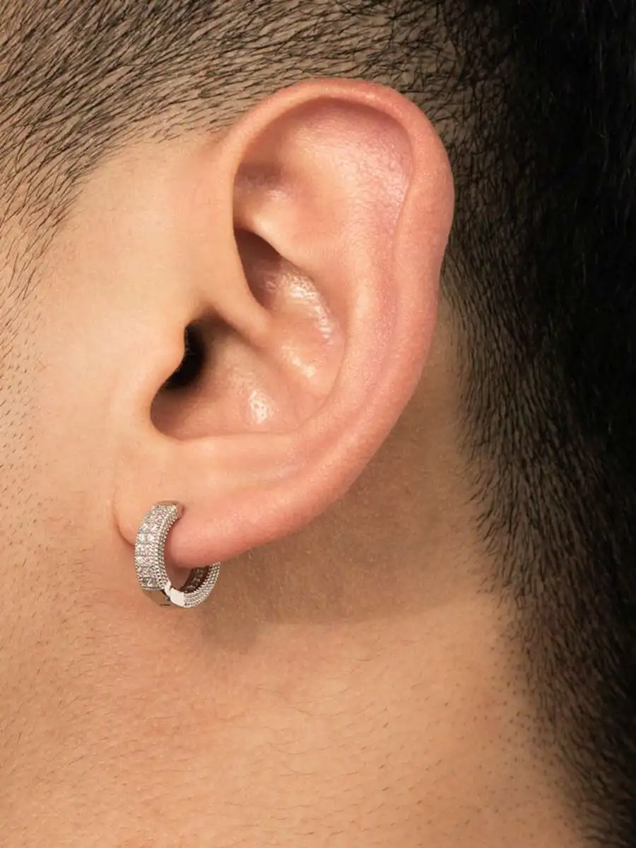 Cubic Zirconia Studded Hoop Ea - Hoop Earrings review and price